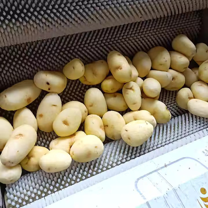 Potato Washing Peeling Machine Lotus Root Peeling Machine