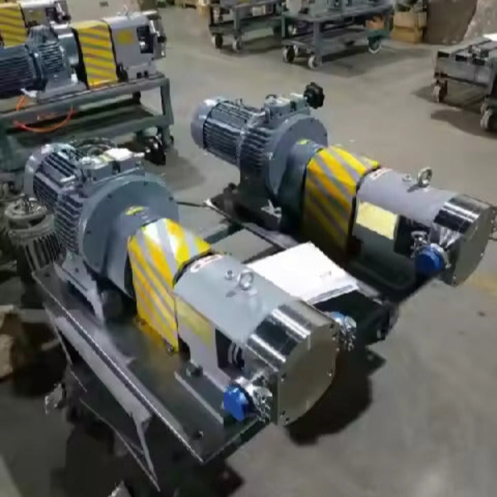 Electric Stainless Steel Rotor Pump