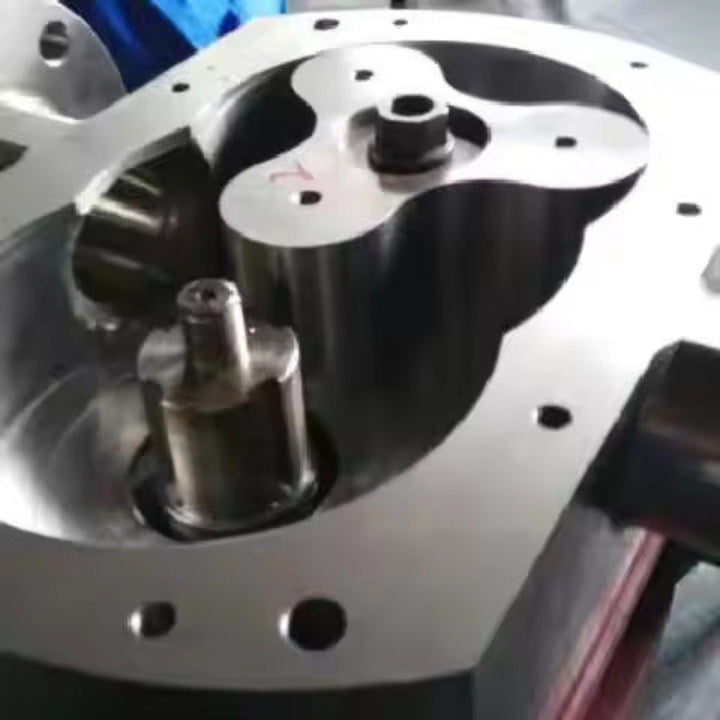 Electric Stainless Steel Rotor Pump
