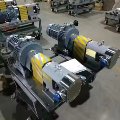 Electric Stainless Steel Rotor Pump