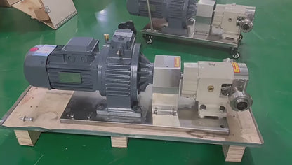 Electric Stainless Steel Rotor Pump