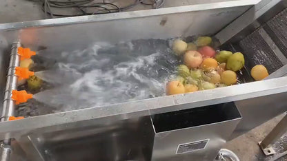 Single-Channel Spiral Fruit And Vegetable Juicer