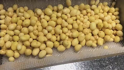 Potato Washing Peeling Machine Lotus Root Peeling Machine