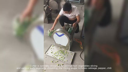 Commercial Dual-Speed Vegetable Cutter