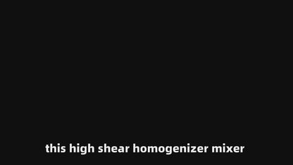 High-Shear Homogener Mixing Pump