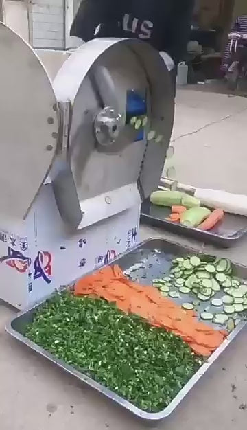 Commercial Dual-Speed Vegetable Cutter